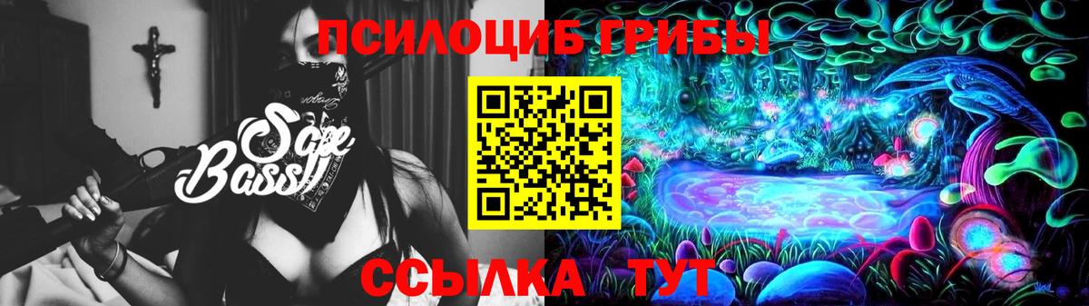 Псилоцибиновые грибы Cubensis  Вход с VPN  Вичуга 