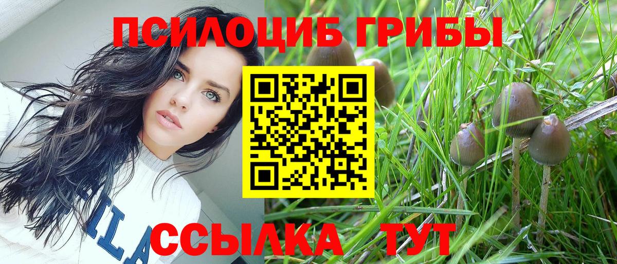 Галлюциногенные грибы MAGIC MUSHROOMS Вичуга