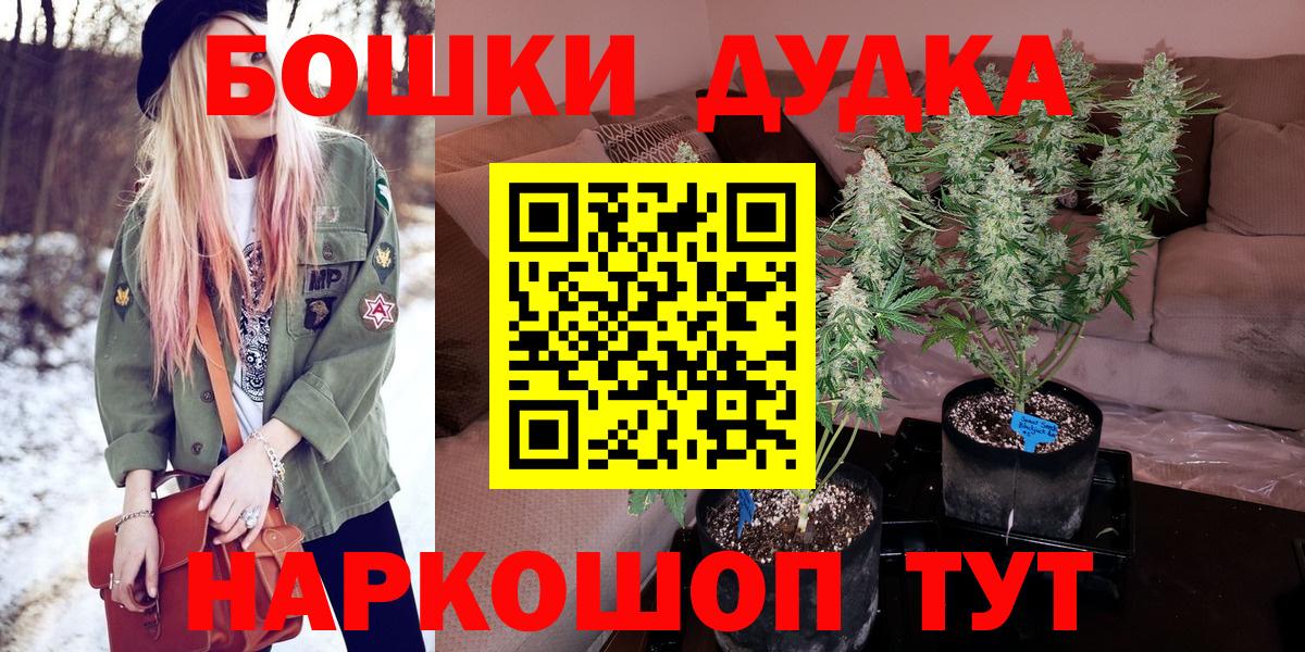 Конопля сатива Вичуга